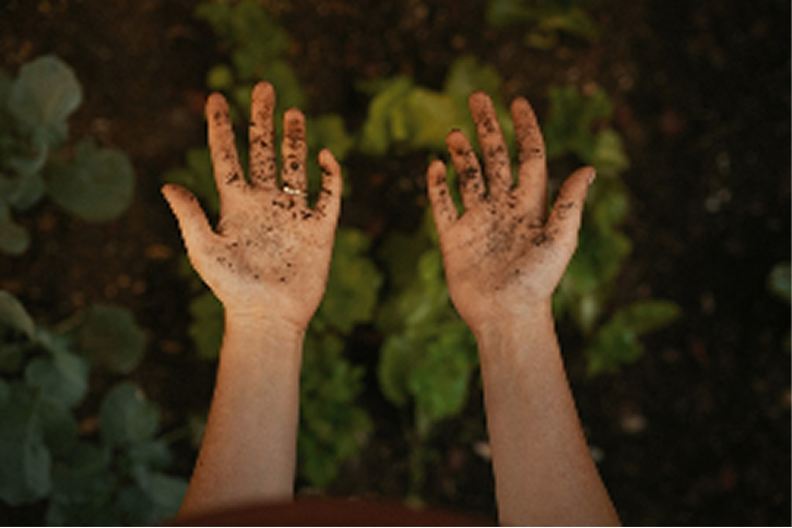 organic farming