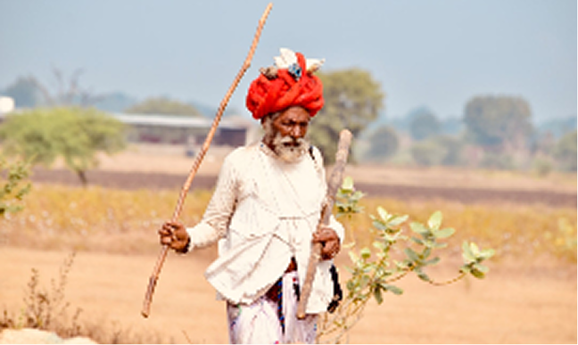 Organic farming by Indian farmer